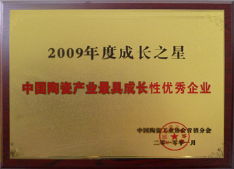 中国陶瓷产业最具成长性优秀企业